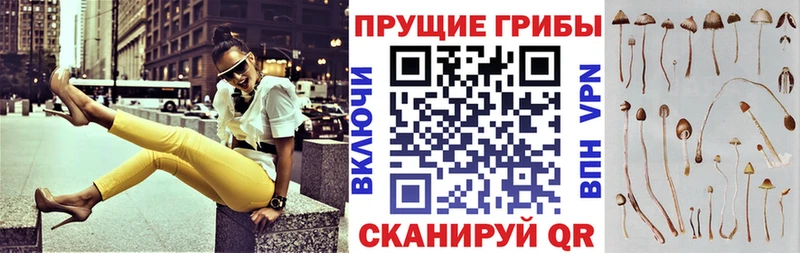 Галлюциногенные грибы прущие грибы  darknet формула  Октябрьский 